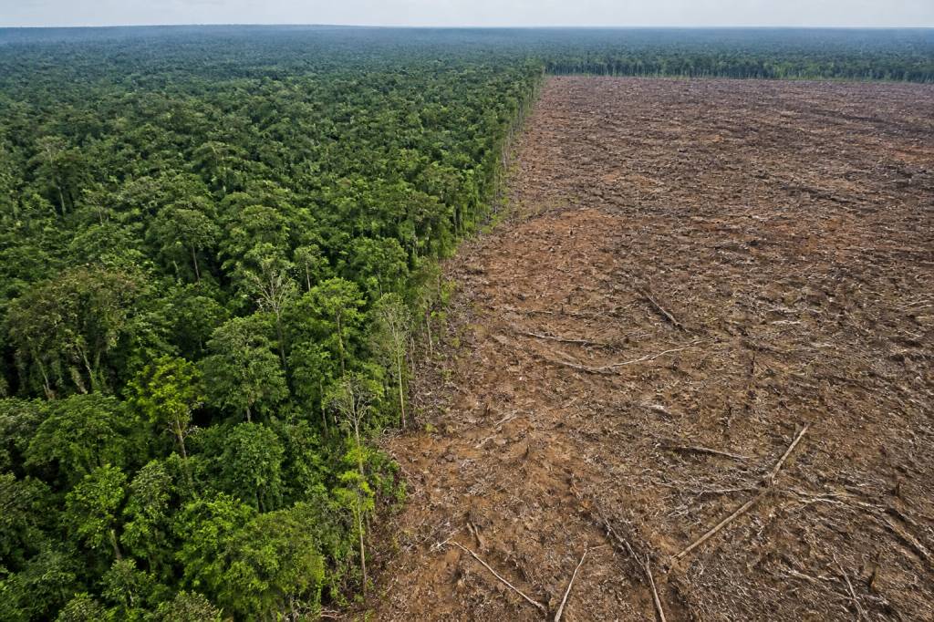 Comprendre les consequence of deforestation et agir pour un avenir durable